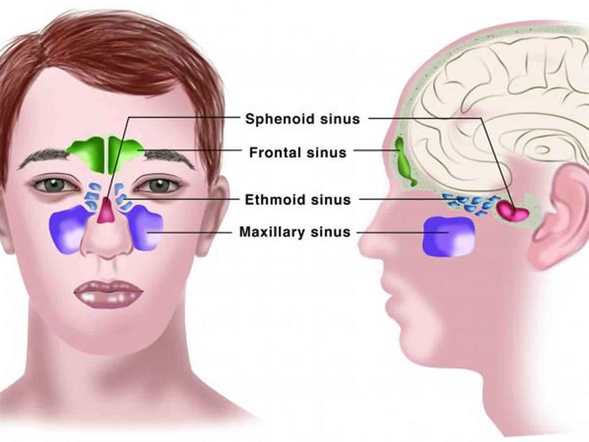 How to Find the Right ENT Specialist for&nbsp;You?