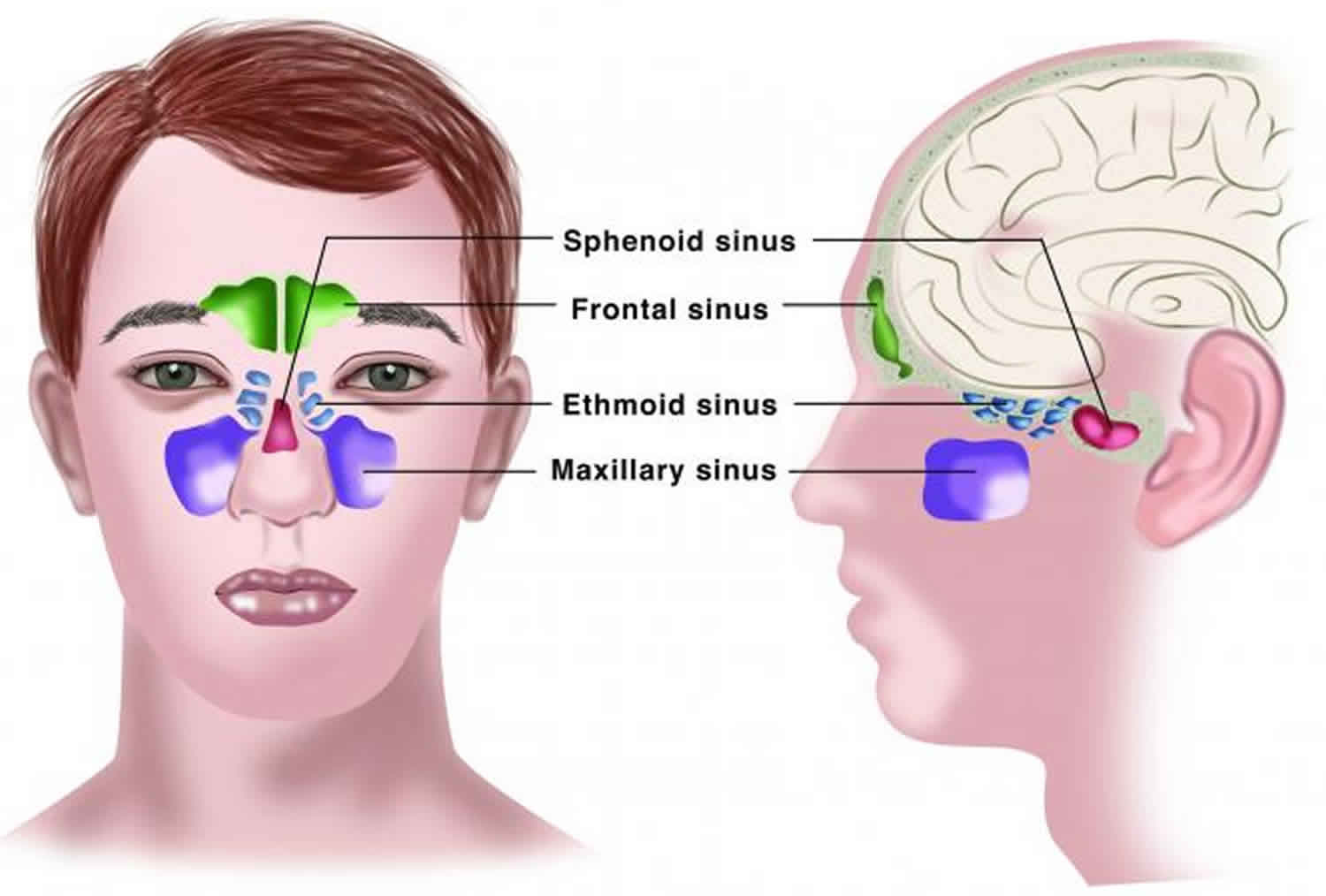 sinus specialist in ahmedabad
